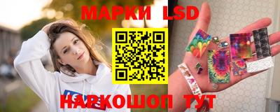шишки Сланцы