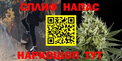 тгк Славгород