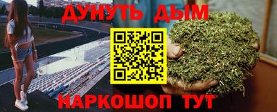 шишки Сланцы