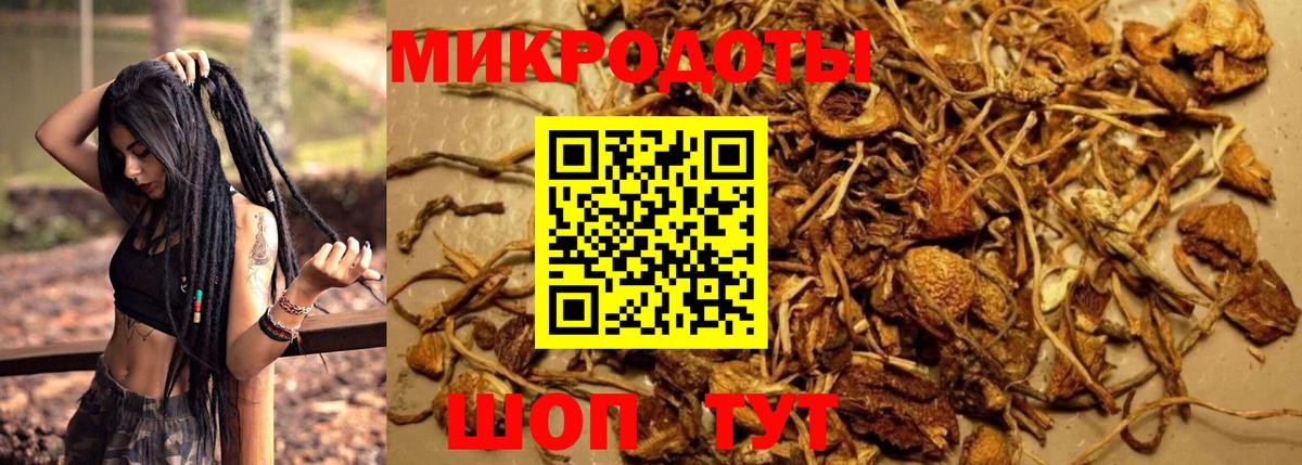 продажа наркотиков  Галлюциногенные грибы Cubensis  Вход с VPN  Новоалександровск 