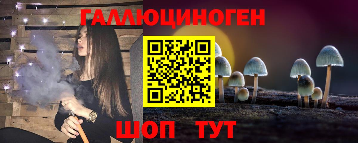 Галлюциногенные грибы Psilocybe Новоалександровск